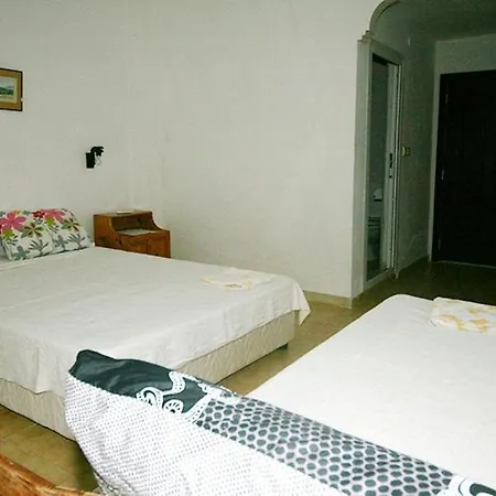 Sureyya Fethiye